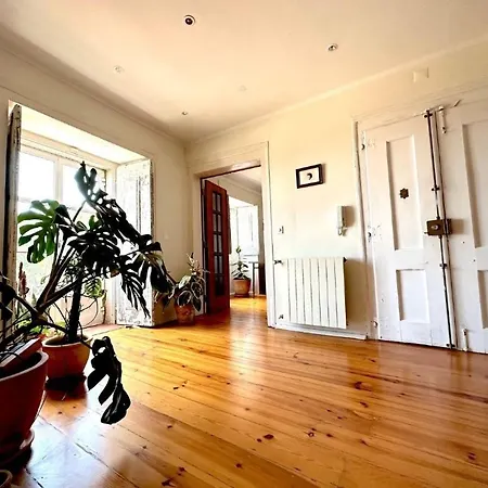 Rent Duplex Lux Apartman